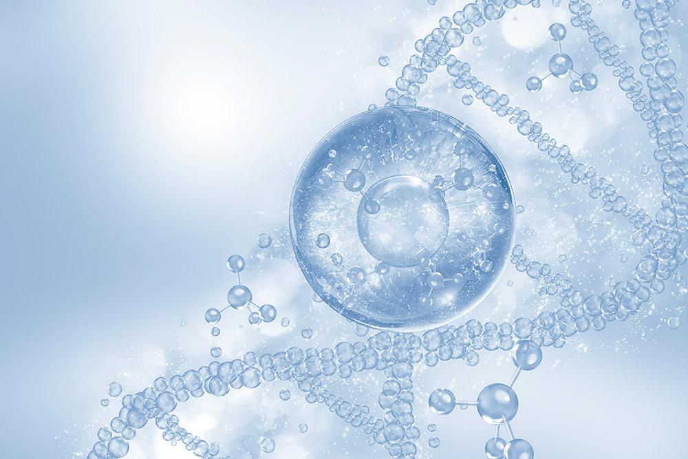 Stem Cell Facelift