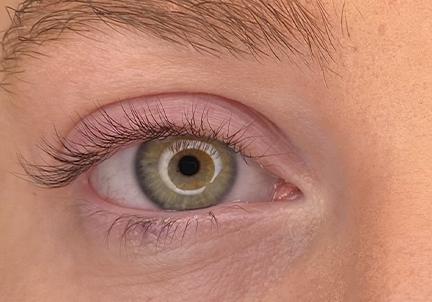 An After Photo of a Lash Lift With Tint In Seattle and Tacoma